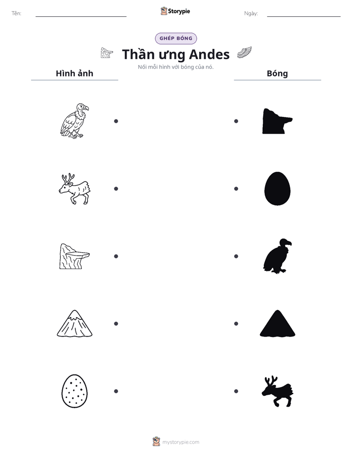 Ghép Hình Bóng