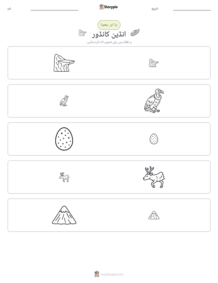 ترتیب دینا