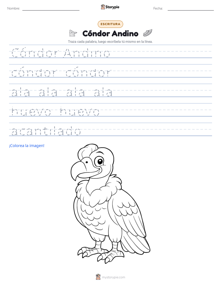 Práctica de Escritura