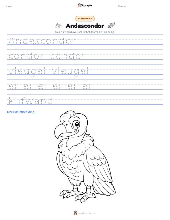 Schrijf Oefening