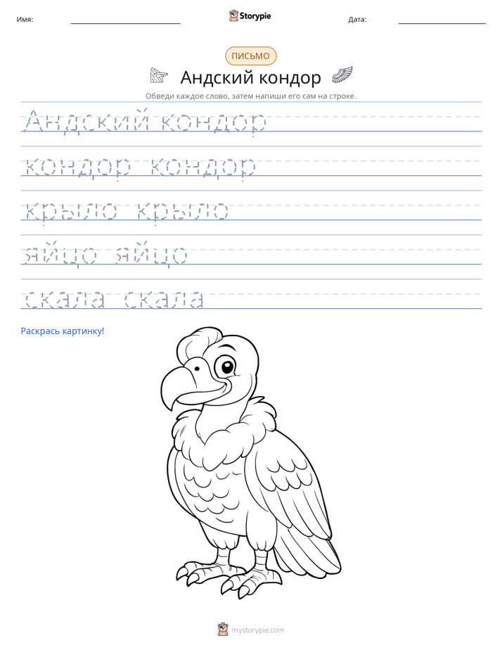 Практика письма