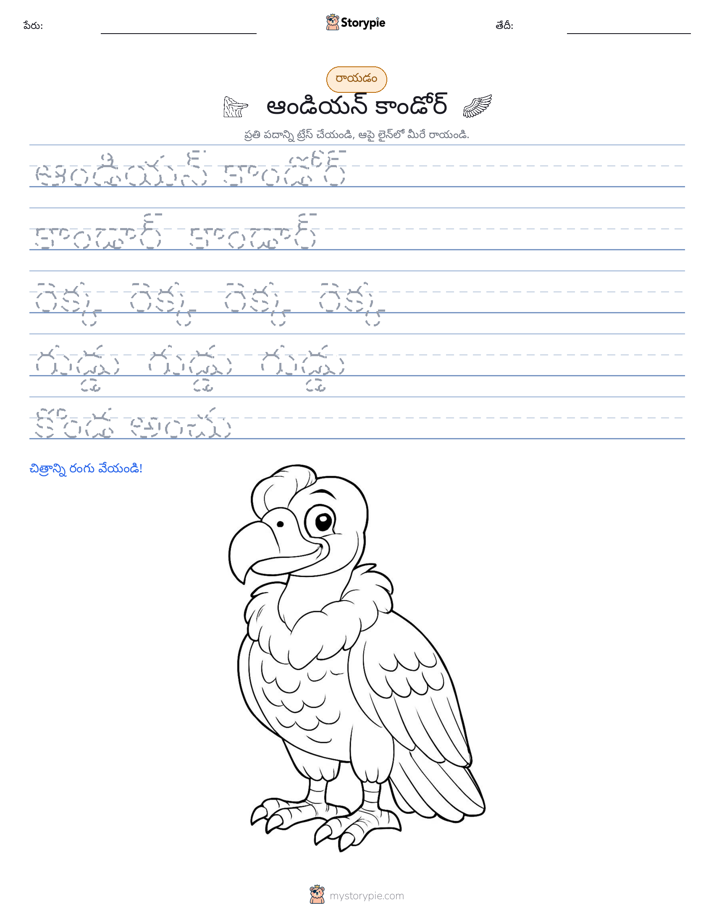 రాయడం సాధన