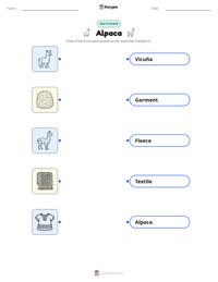 Alpaca printable worksheet preview