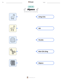 Xem trước tài liệu in sẵn Alpaca