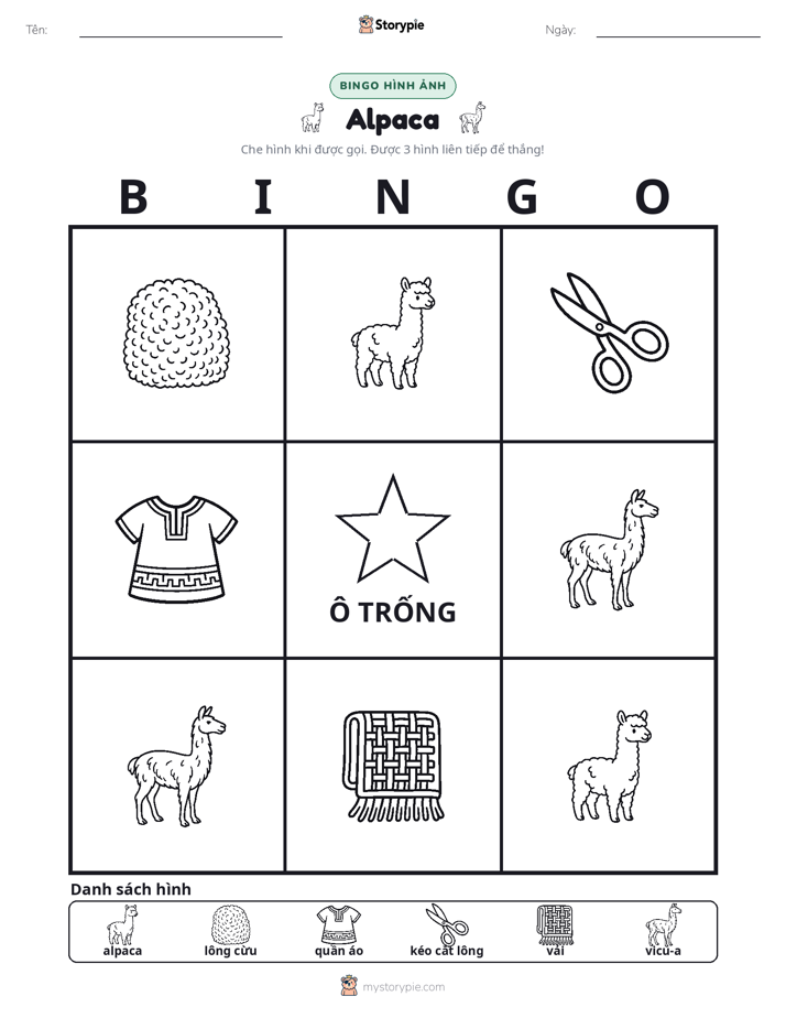 Bingo Hình Ảnh