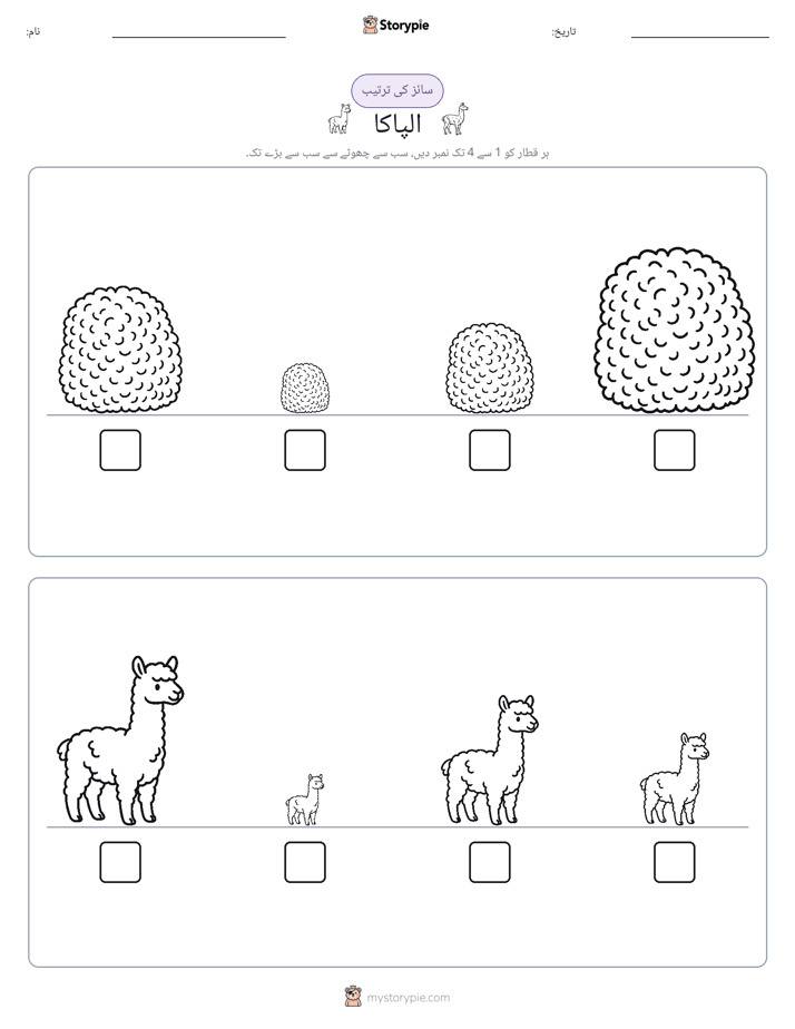 سائز کی ترتیب