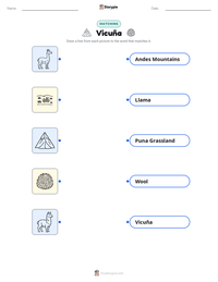 Vicuña printable worksheet preview