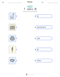 비쿠냐 인쇄 가능한 워크시트 미리보기