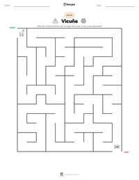 Vicuña printable worksheet preview