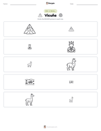 Vicuña printable worksheet preview