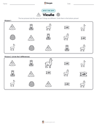 Vicuña printable worksheet preview