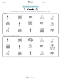 Vista previa de la hoja de trabajo imprimible de Vicuña