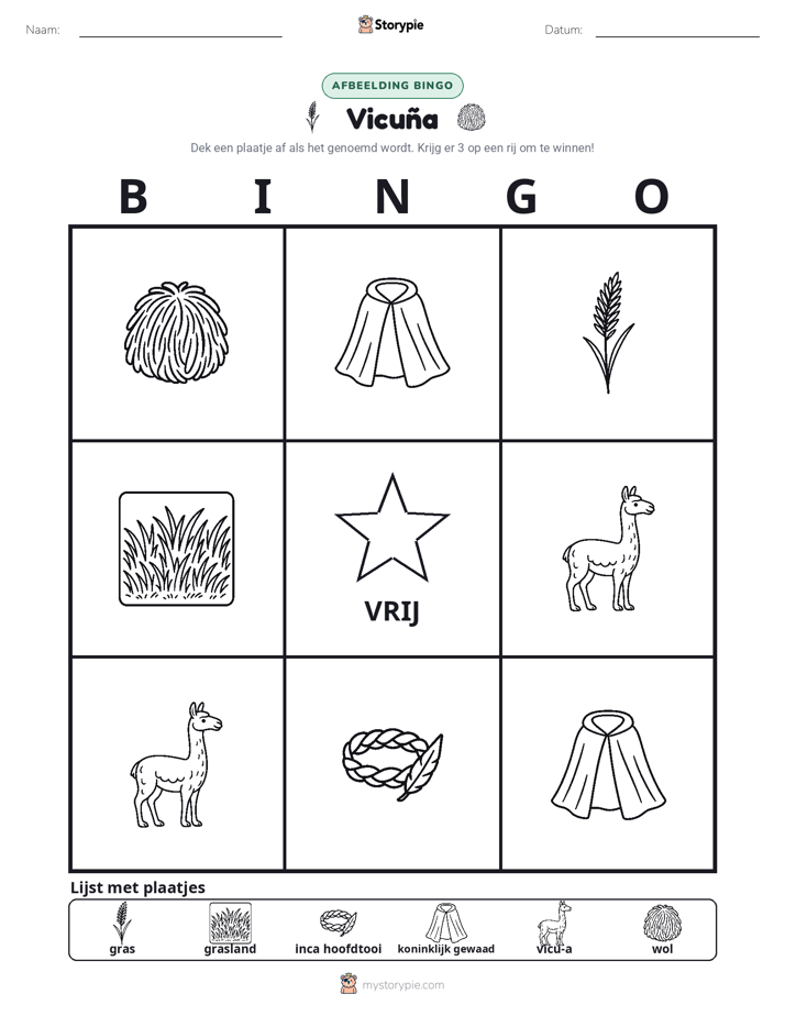Afbeelding Bingo