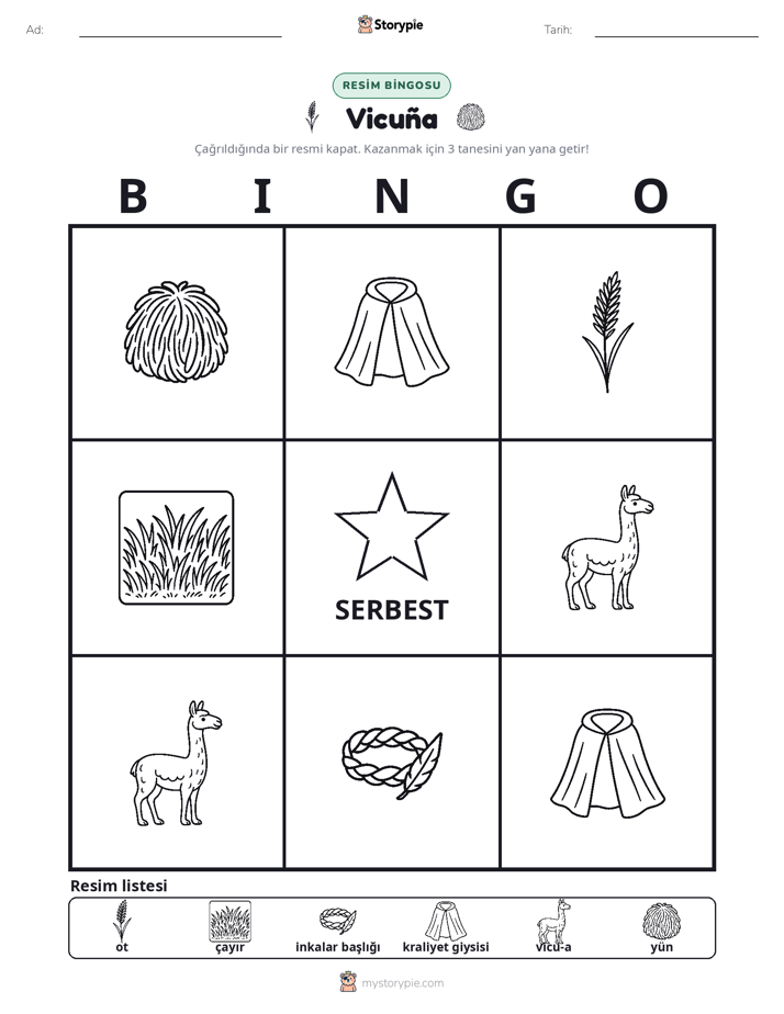 Resim Bingo