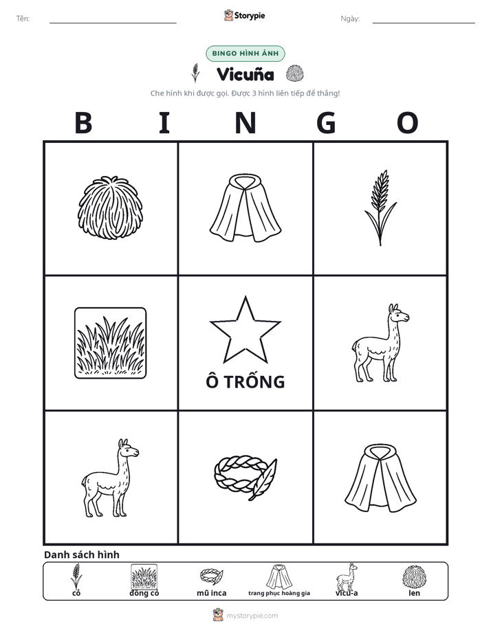 Bingo Hình Ảnh