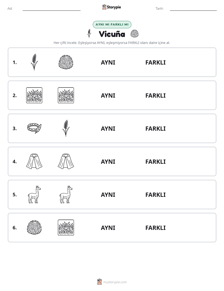 Aynı mı Farklı mı