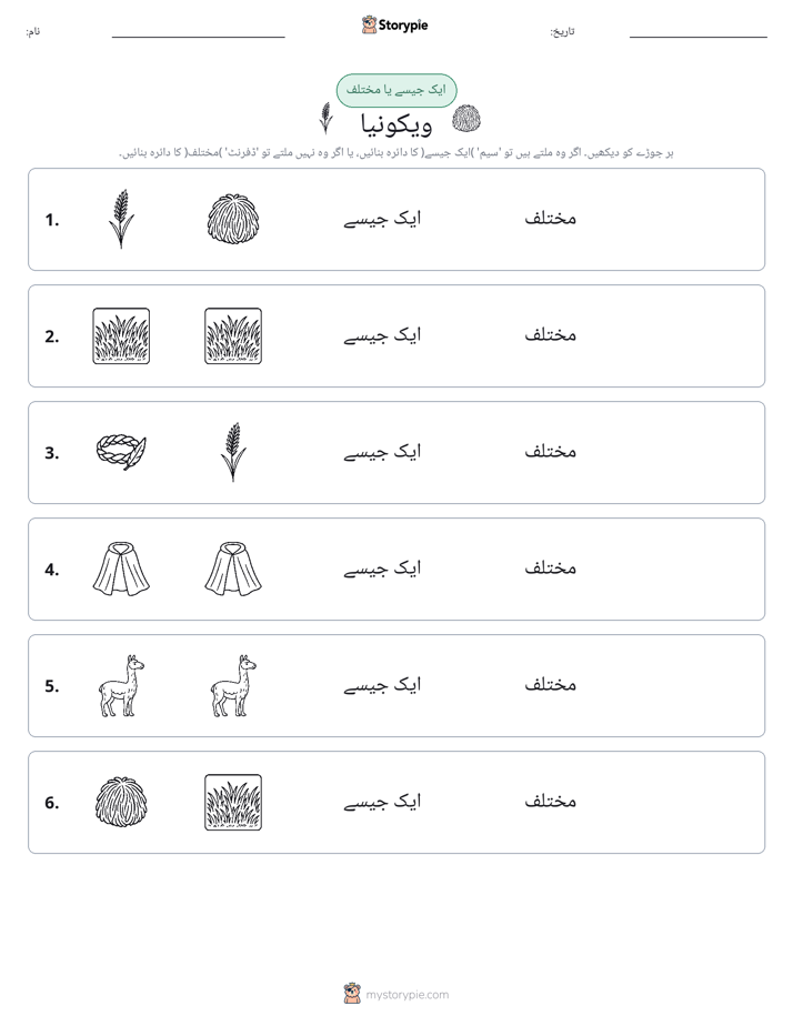 ایک جیسا یا مختلف