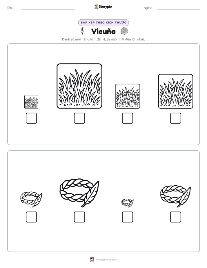 Thứ Tự Kích Thước