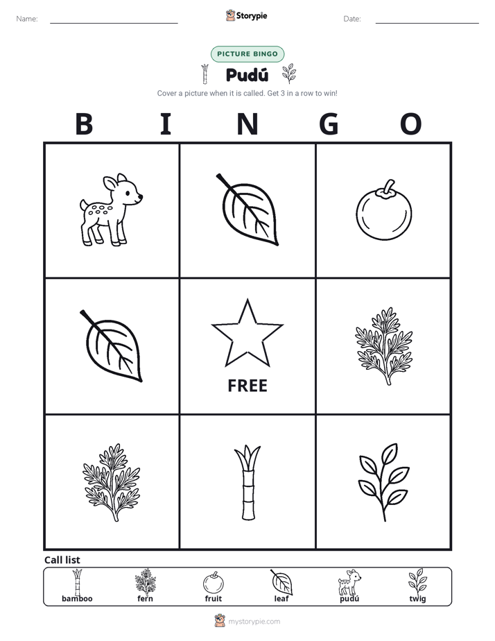 Picture Bingo