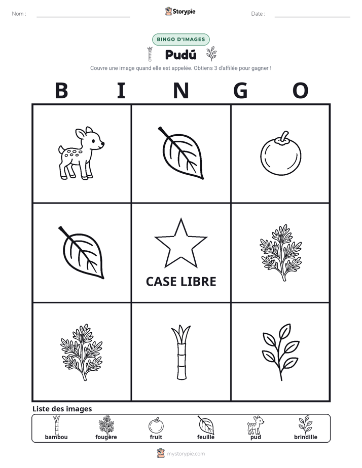 Bingo d'Images