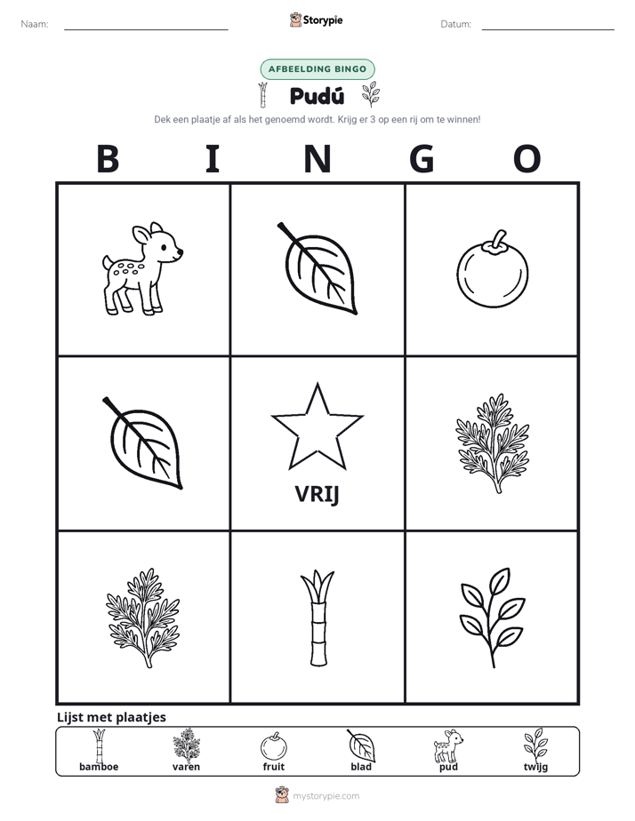 Afbeelding Bingo