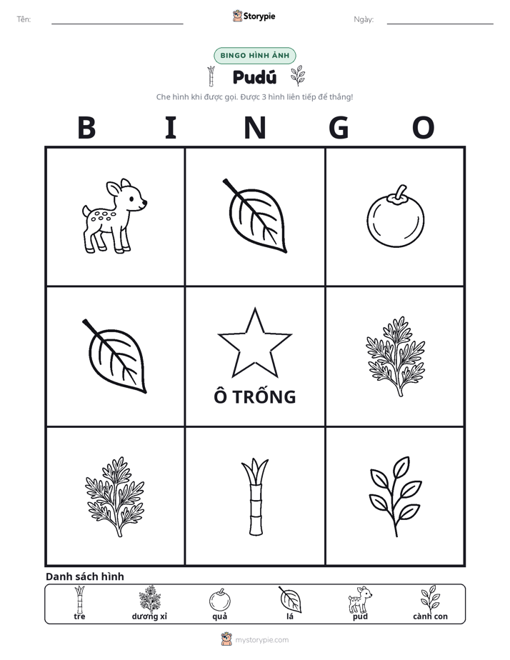 Bingo Hình Ảnh