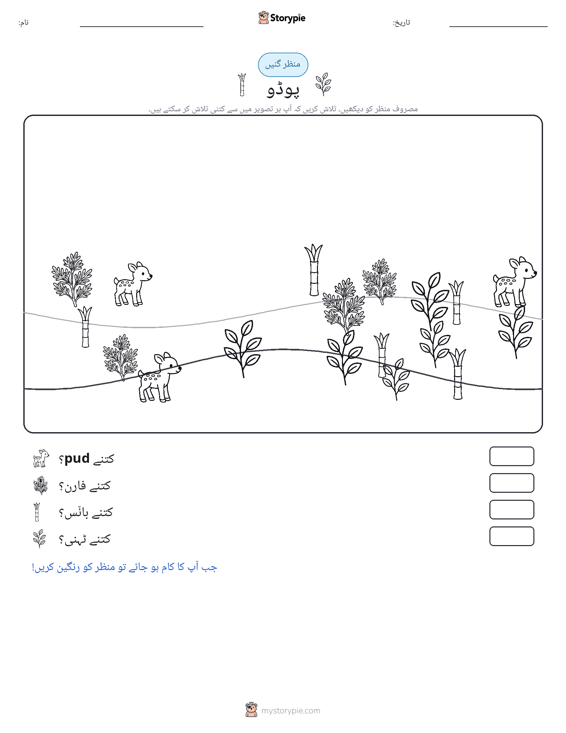 گنتی کا منظر