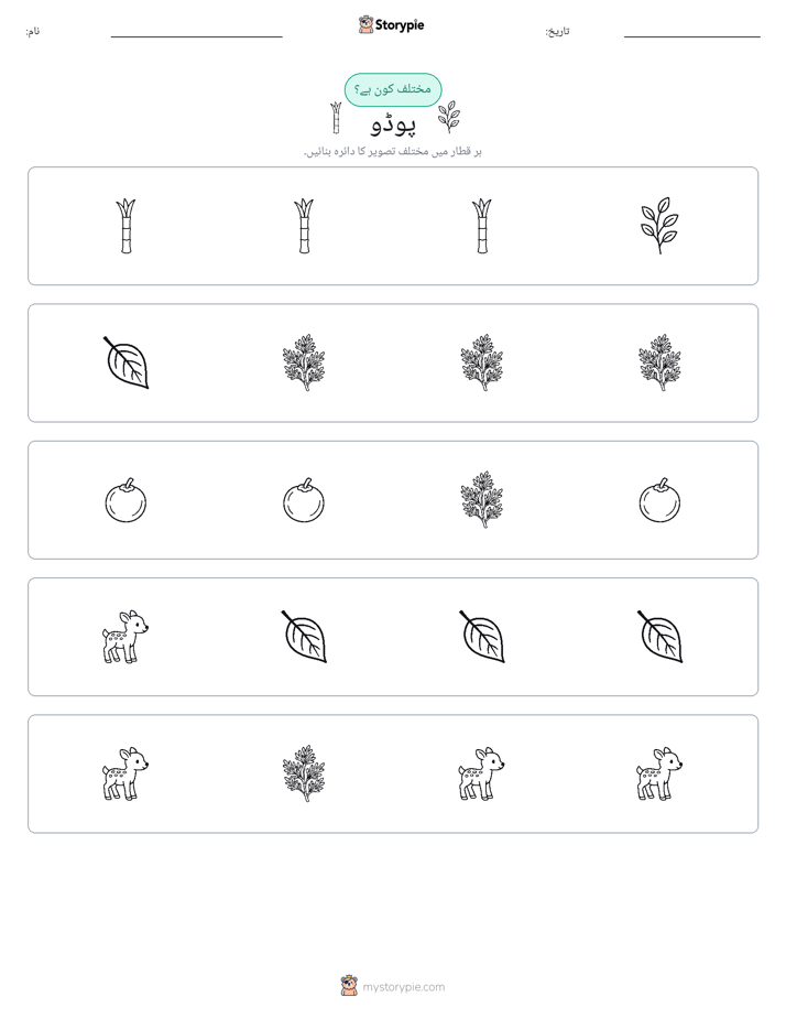 عجیب ایک