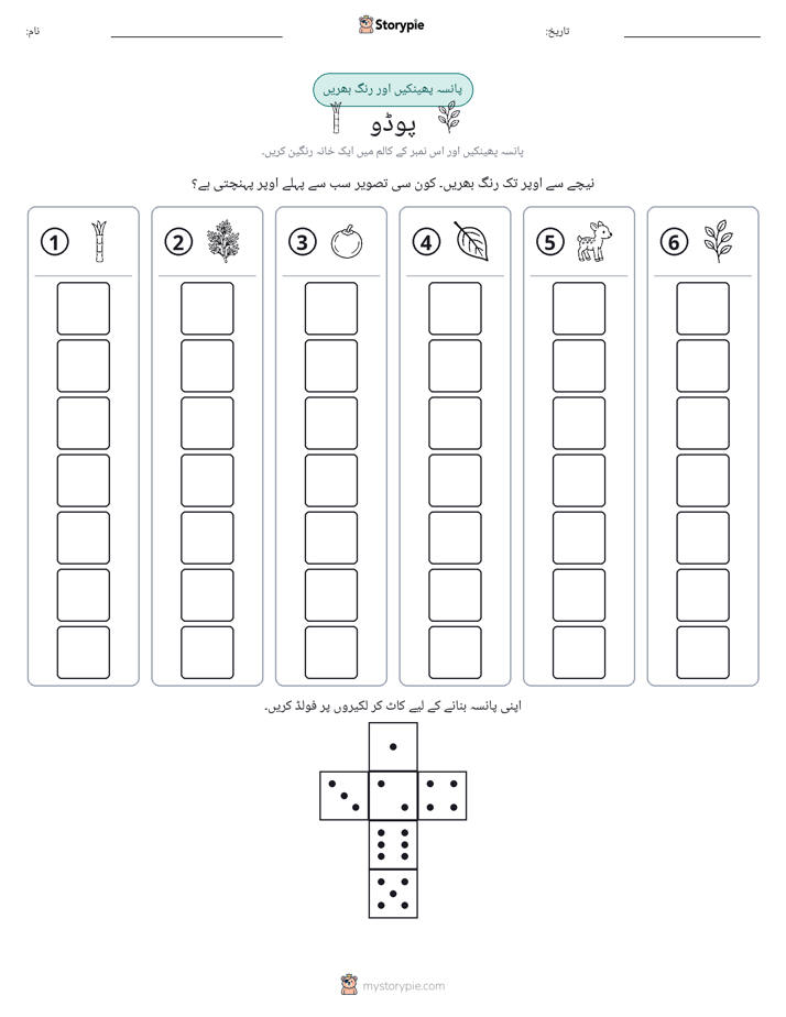 رول اور رنگ