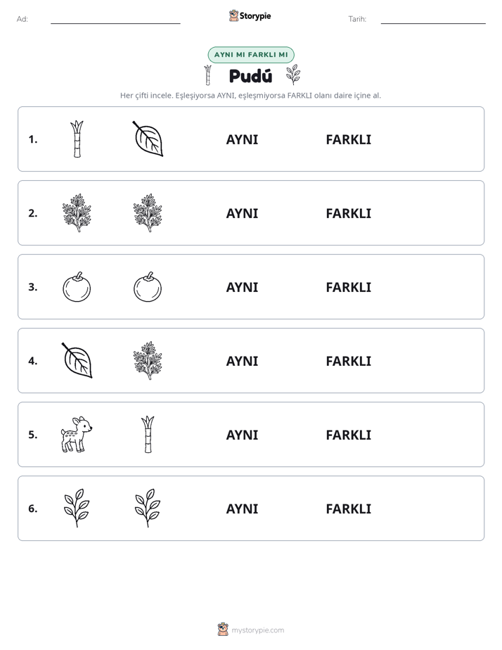 Aynı mı Farklı mı