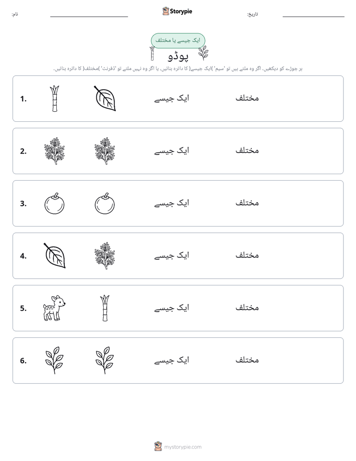 ایک جیسا یا مختلف