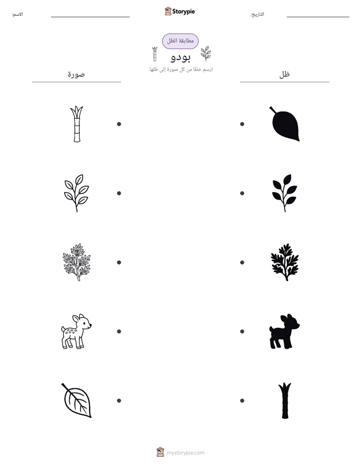 مطابقة الظل