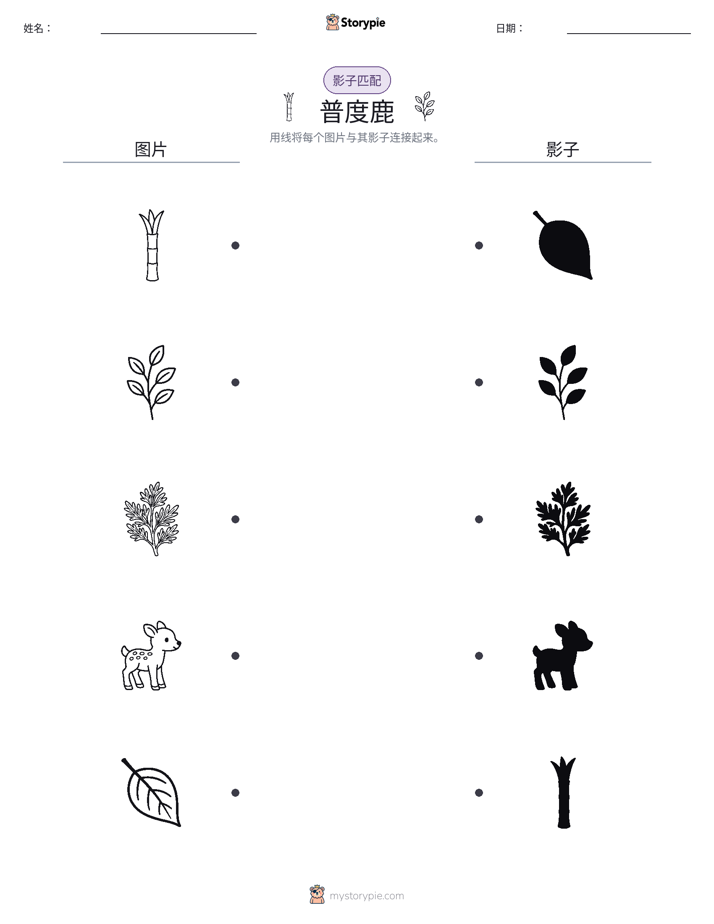 影子匹配