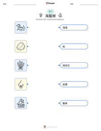 海鬣蜥 可打印工作表预览