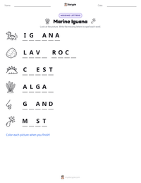 Marine Iguana printable worksheet preview
