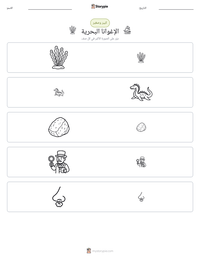 معاينة ورقة العمل القابلة للطباعة الإغوانا البحرية