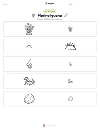 Marine Iguana printable worksheet preview