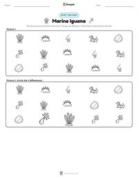 Marine Iguana printable worksheet preview