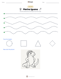 Marine Iguana printable worksheet preview