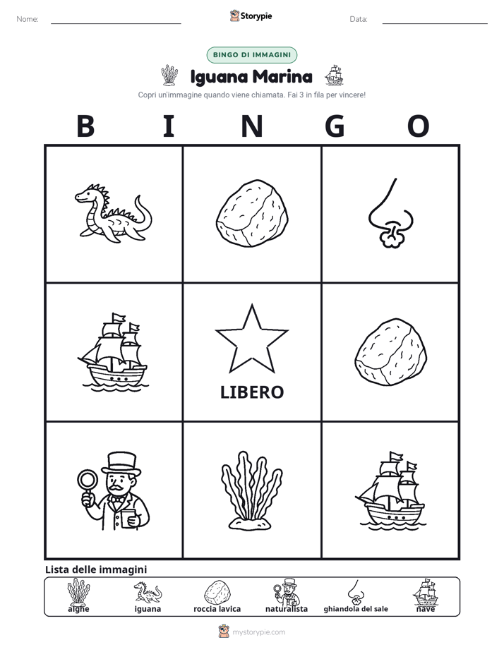 Bingo delle Immagini