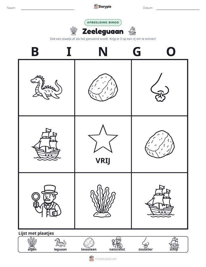 Afbeelding Bingo