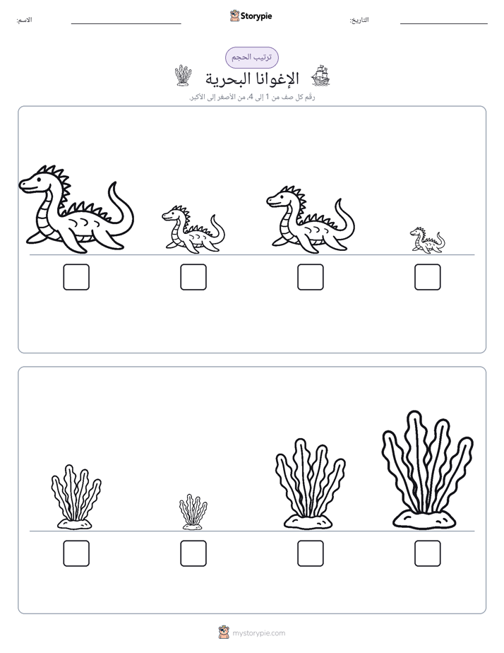 ترتيب الحجم