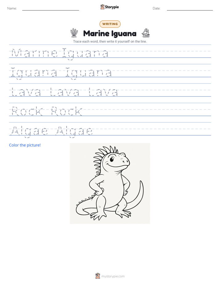 Writing Practice