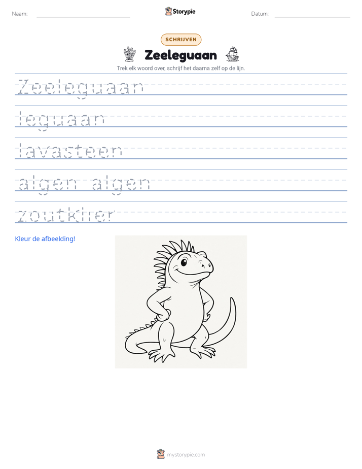 Schrijf Oefening