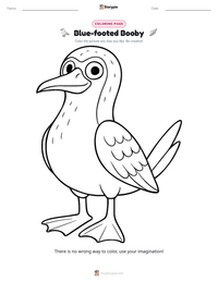 Blue-footed Booby printable worksheet preview