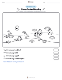 Blue-footed Booby printable worksheet preview
