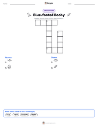 Blue-footed Booby printable worksheet preview