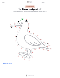 Blauwvoetgent afdrukbare werkblad voorbeeld
