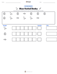 Blue-footed Booby printable worksheet preview