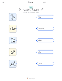 معاينة ورقة العمل القابلة للطباعة الأطيش أزرق القدمين
